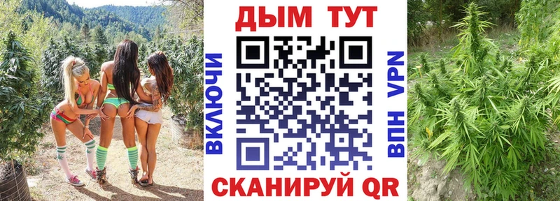 Конопля OG Kush  Ермолино 